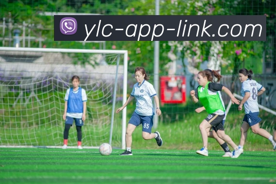 娱乐城app全站App